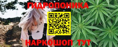 ECSTASY Донецк