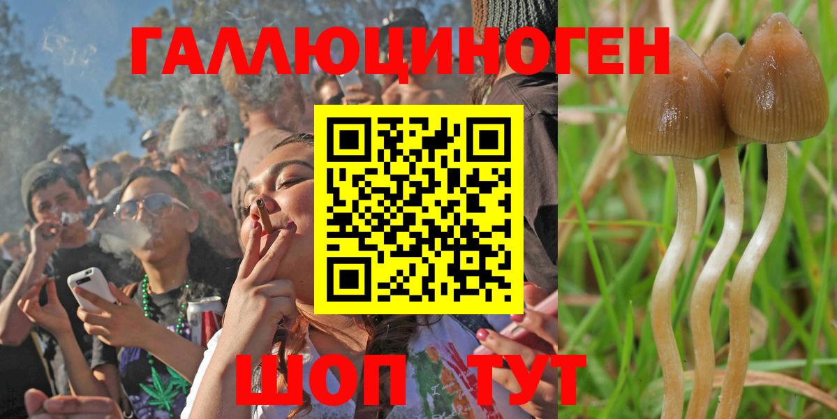 Красный Сулин  Галлюциногенные грибы мицелий  Вход с VPN 